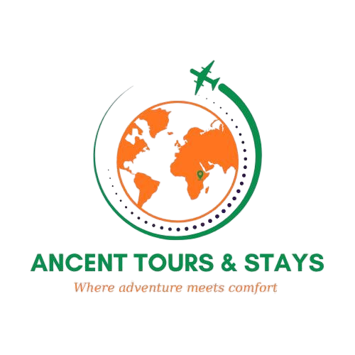 Ancent Tours Logo